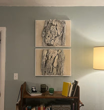 Load image into Gallery viewer, Diptych: Skull Bones I and Skull Bones II