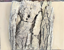 Load image into Gallery viewer, Diptych: Skull Bones I and Skull Bones II