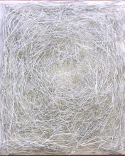 Load image into Gallery viewer, Central Park White Needles