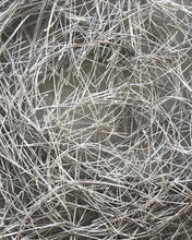 Load image into Gallery viewer, Central Park White Needles