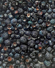 Load image into Gallery viewer, Blueberries
