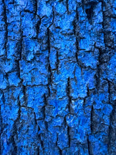 Load image into Gallery viewer, T Shirt- Blue White Oak Bark
