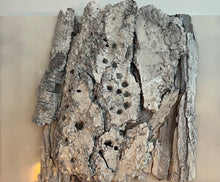Load image into Gallery viewer, Diptych: Skull Bones I and Skull Bones II

