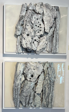 Load image into Gallery viewer, Diptych: Skull Bones I and Skull Bones II
